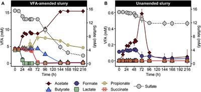 Metabolic responses of thermophilic endospores to sudden heat-induced perturbation in marine sediment samples